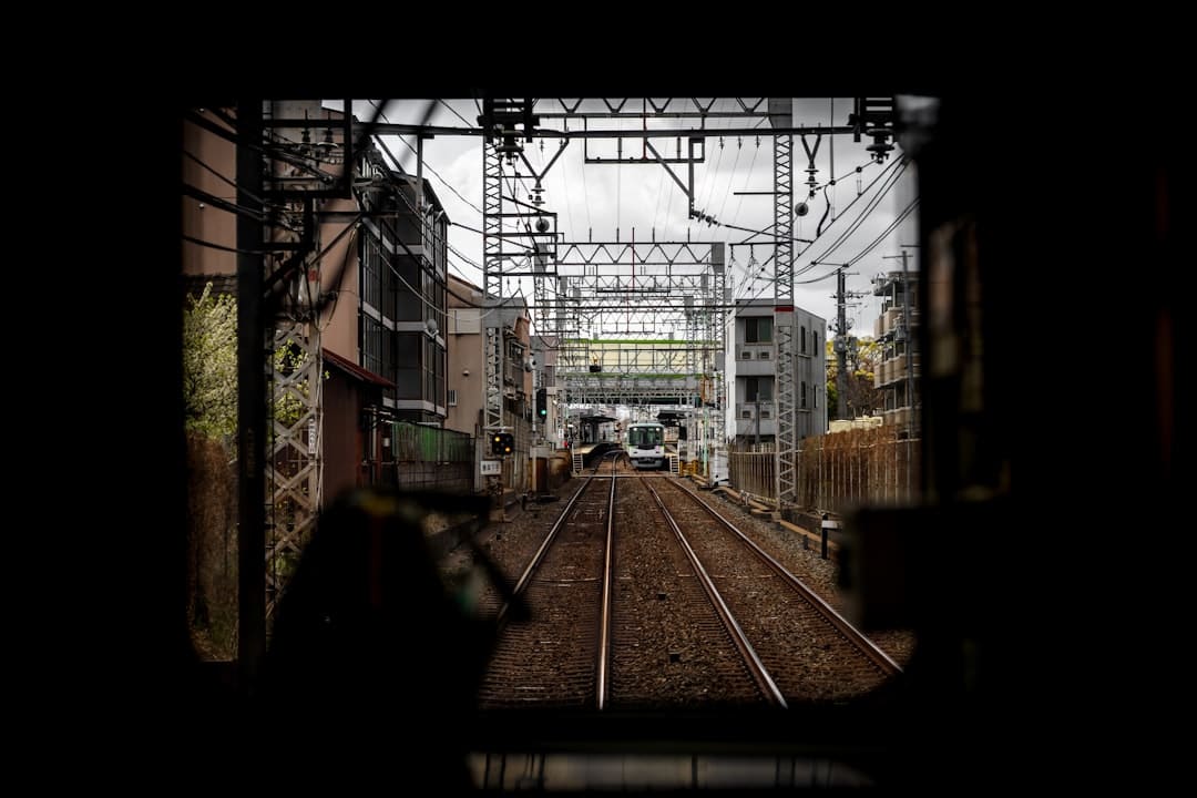 成都暴雨 强降雨伴有大风来袭